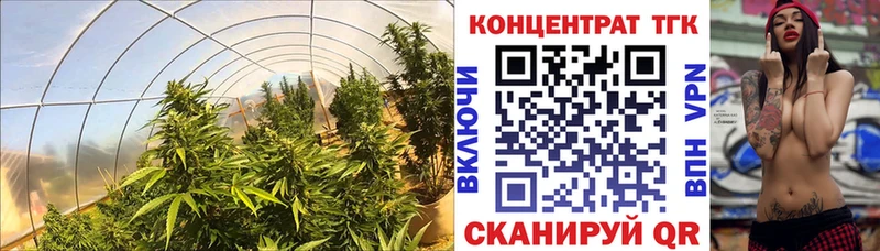 ТГК жижа  где купить наркоту  Лахденпохья 